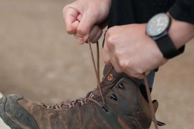 Full-Day Private Hike in Yellowstone National Park - Meeting and Pickup