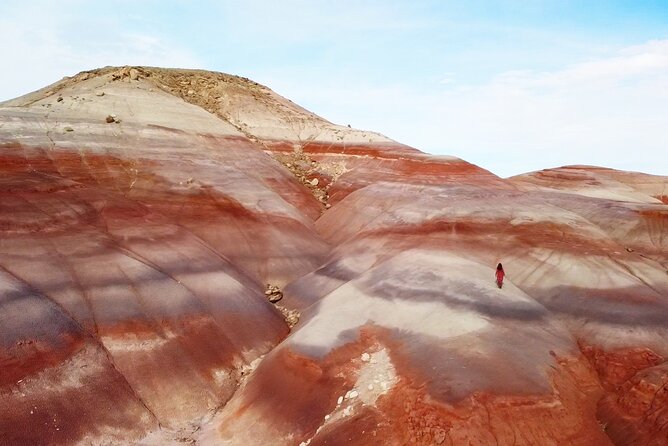 Full-Day Private Off-Road Tour in Capitol Reef National Park - Pricing and Guarantee
