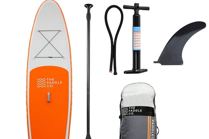 Full-Day Private Paddle Board Hire in the Amazing Waters in Torbay - Booking Confirmation and Availability