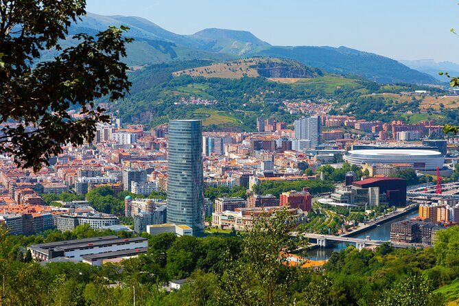 Full Day Private Shore Tour in Bilbao From Bilbao Cruise Port - Pricing and Value