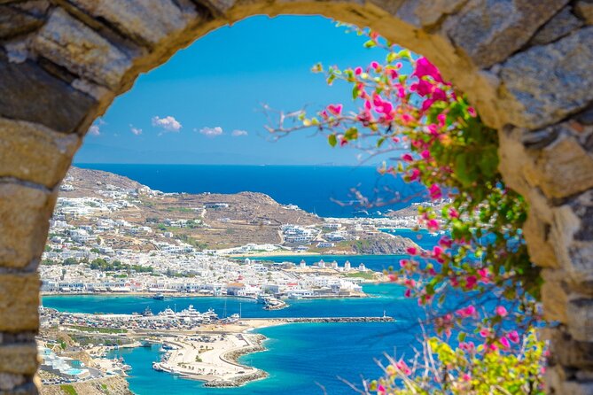 Full Day Private Shore Tour in Mykonos From Mykonos Cruise Port - Booking and Flexibility