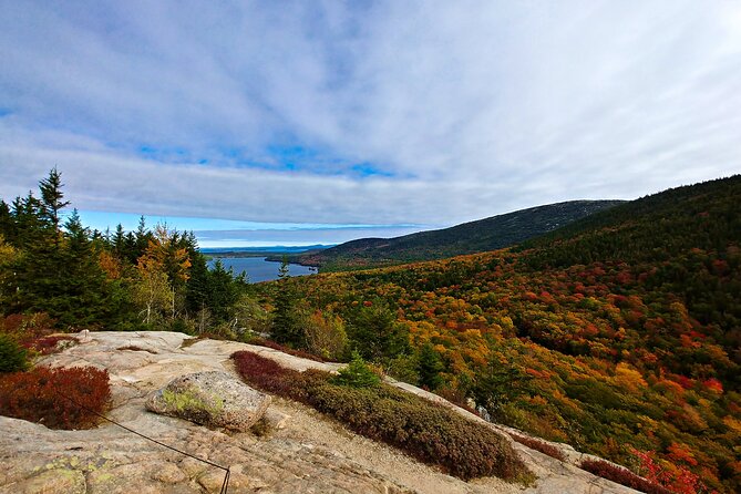 Full-Day Private Tour and Hike in Acadia National Park - Reviews and Visitor Feedback