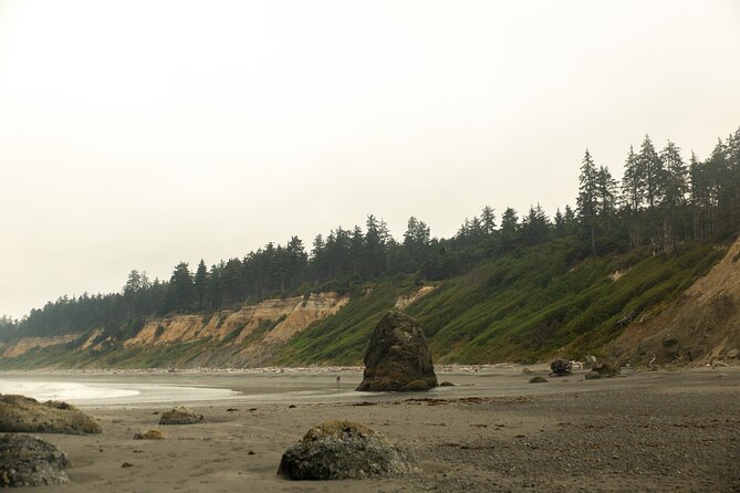 Full-Day Private Tour and Hike in Olympic National Park - Pricing and Reviews
