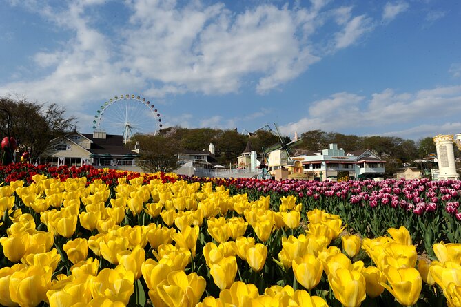 Full Day Private Tour Everland Theme Park - Tour Highlights