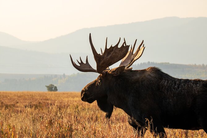 Full-Day Private Tour in Grand Teton National Park - Whats Included