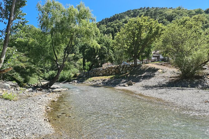 Full-Day Private Tour in Sierra Bermeja - Genalguacil - Genal River - Itinerary Overview