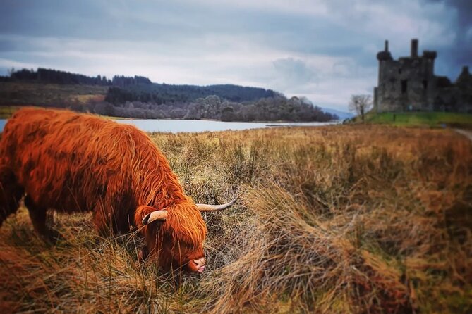 Full Day Private Tour in West Highlands, Oban and Glencoe - Highlights of the West Highlands