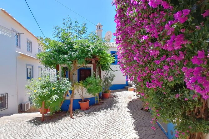 Full Day Private Tour in Western Algarve - Tour Highlights and Itinerary