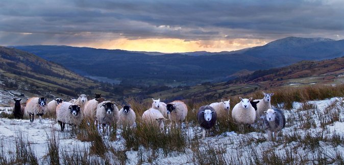 Full Day Private Tour of the Lake District - Inclusions and Amenities