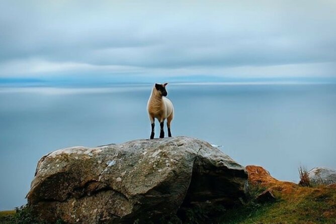 Full Day Private Tour to Ireland - Itinerary Highlights