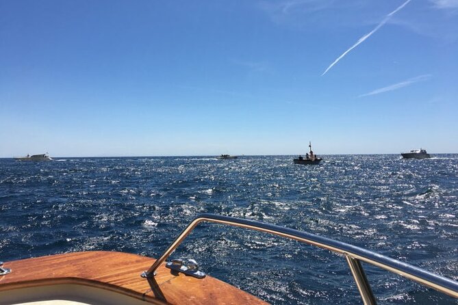 Full-Day Private VIP Boat Tour to Capri - Tour Highlights