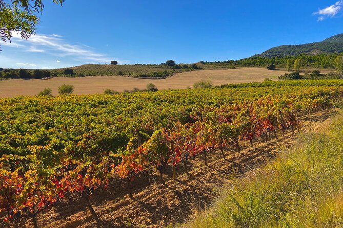 Full-Day Private Wine Tasting Tour in La Rioja With Lunch - Tour Details and Inclusions