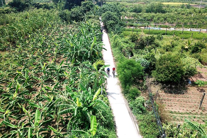 Full-Day Red River Bike Tour From Hanoi With Lunch and Pickup - Weather and Minimum Travelers