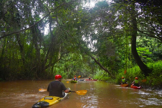 Full-Day River Kayaking Trip in Northern Thailand Jungle From Chiang Mai - Tour Activities