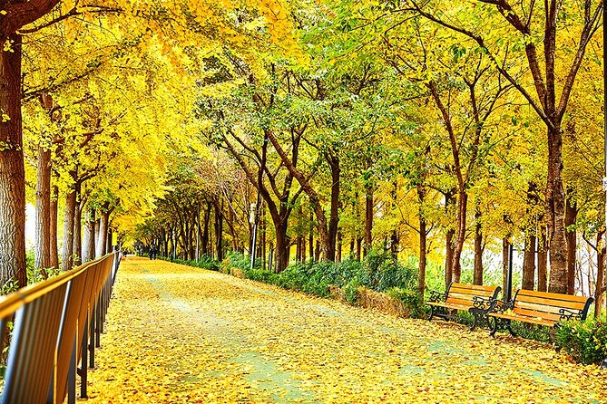 Full-Day Seoul Autumn Foliage Private Guided Tour - Tour Options