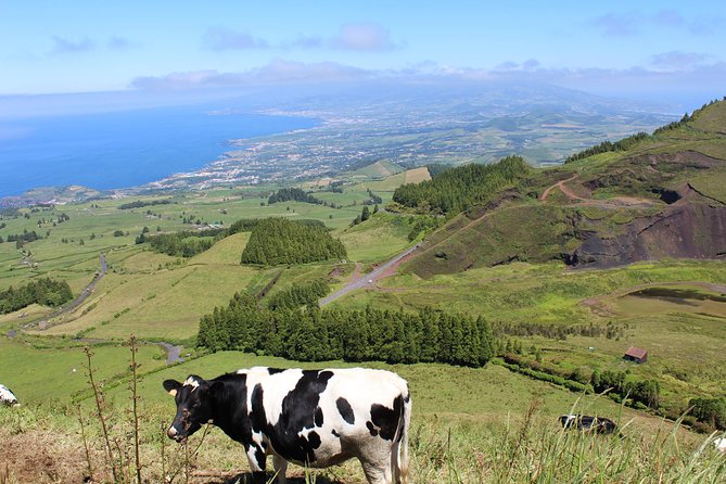 Full Day Sete Cidades and Lagoa Do Fogo PRIVATE 4WD Tour With Lunch - Tour Details and Highlights