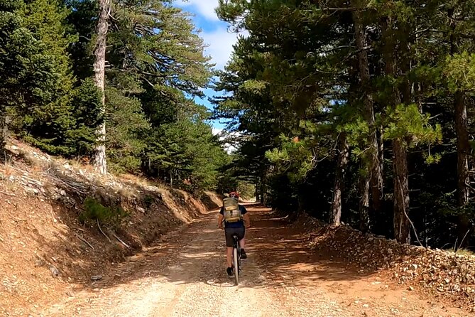 Full-Day Small-Group Hiking and Cycling Tour From Taygetos to Sparti - Tour Details