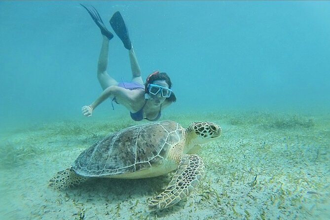 Full-Day Snorkeling Tour to Culebra Island With Lunch - Meeting and Logistics