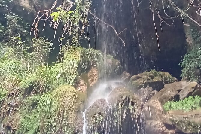 Full Day Tour at Algar Spring - Tour Duration and Inclusions