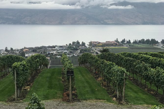 Full Day Tour - Guarantee Tasting At Mission Hill Winery & Quails Gate Winery. - Tour Details