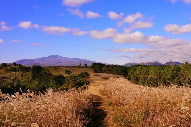 Full Day Tour in Jeju Island - East of Jeju (Included Admission) - Pick-Up and Drop-Off Services