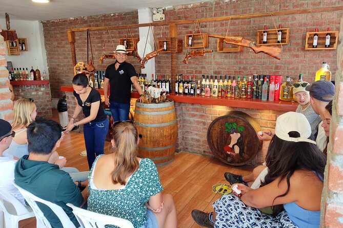Full Day Tour in Lima Paracas Ica - Tour Stops and Points of Interest