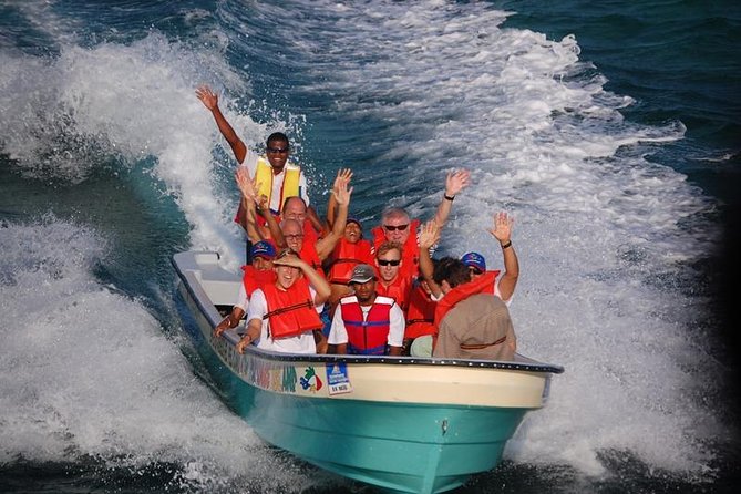 Full Day Tour to Paradise Island - Cayo Arena - Overview of Cayo Arena