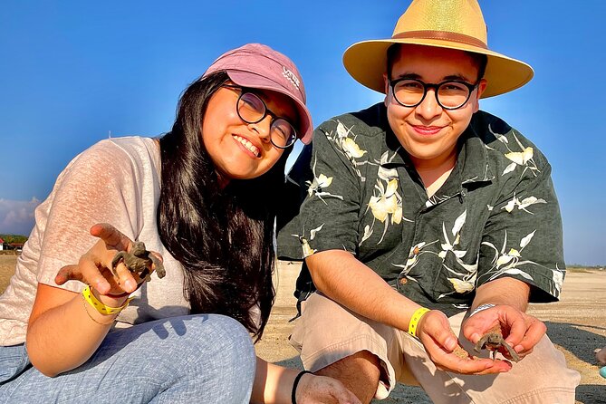 Full Day Tour Turtle Release and Bioluminescence - Turtle Release Activity