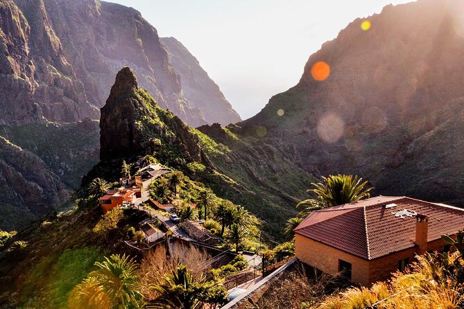 Full Day Tour With Certified Guide in Tenerife - Pricing and Value