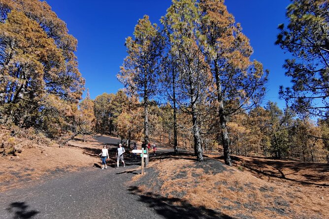 Full Day Tour With Hiking to the Tajogaite Volcano - Inclusions