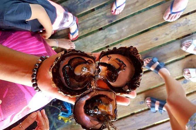 Full-Day Tour With Snorkeling, Tahaa Island From Raiatea - Reviews