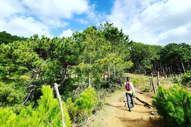 Full Day Trekking on Langbiang Mountain - Good To Know