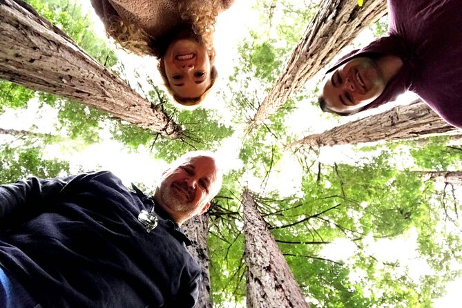 Full Day - Ultimate City Tour Plus Redwoods & Sausalito Private Tour by Jeep - Major Points of Interest