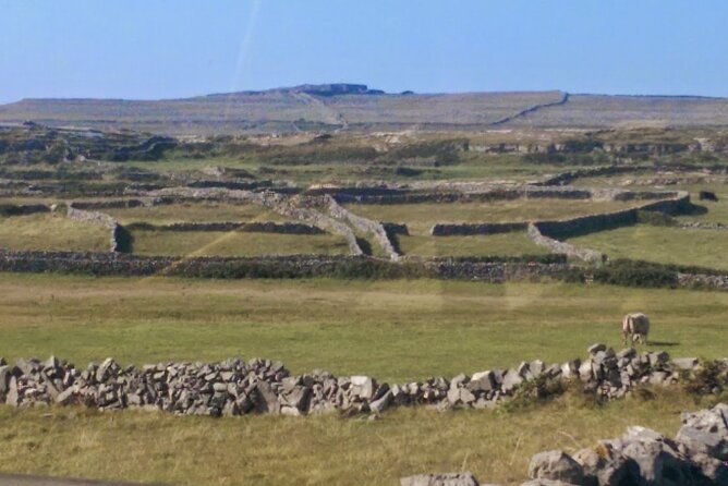 Full-Day Wild Atlantic Galway Guided Tour and Ferry Cruise - Traveler Photos and Reviews
