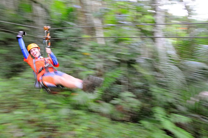 Full-Day Zipline and Waterfall Rappelling Adventure Near San Juan - Traveler Reviews