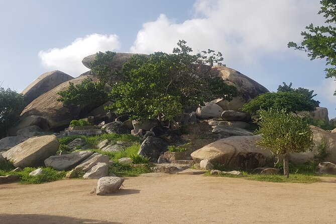 Full Island - Sightseeing Tour in Aruba - Pick-up Options