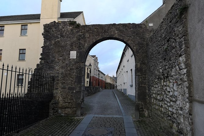 Fun and Informative Kilkenny Walking Tour With a Qualified Guide - Historic Landmarks and Hidden Gems
