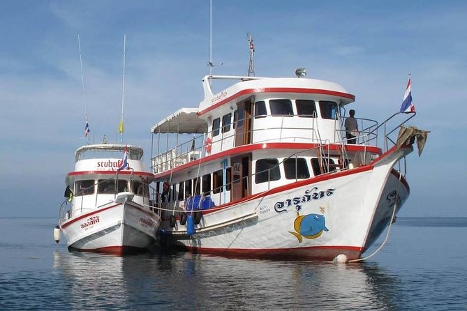 Fun Diving Safari Day Trip From Koh Lanta - Certified Divers - Overview and Activities