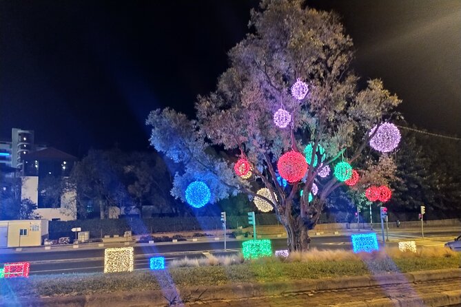 Funchal Christmas Lights Sightseeing Night Tour - Drive Around Funchal to See the Lights