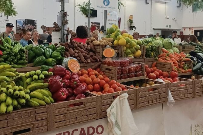 Gastro Wine Tour South Tenerife - Tour Highlights