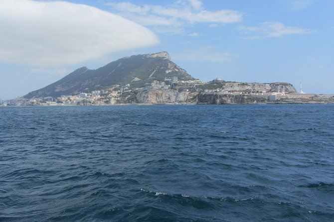 Gibraltar and Dolphins Cruise Day Trip From Costa Del Sol - Pricing and Booking
