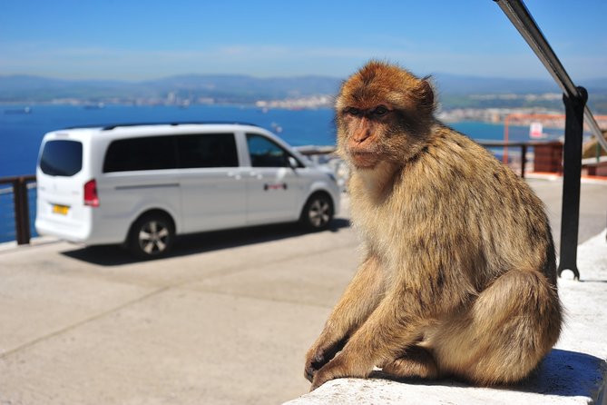Gibraltar Inside Out Panoramic Tour 1hrs Plus - Meeting and Pickup Options