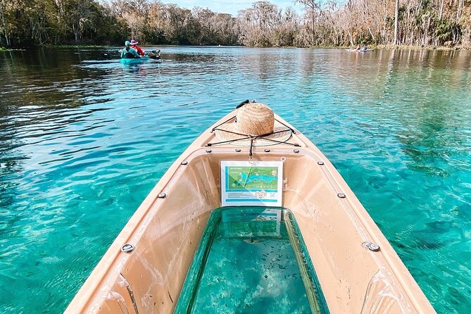 Glass Bottom Kayak Manatee Tour in Silver Springs - Overview and Booking Details