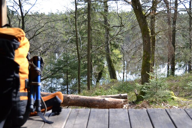 Gourmet Hike at the Halland Countryside Near Halmstad With Lunch - Overview and Experience