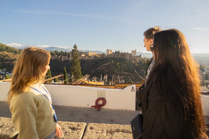 Granada: A Private Experience Walking Tour - Inclusions and Accessibility