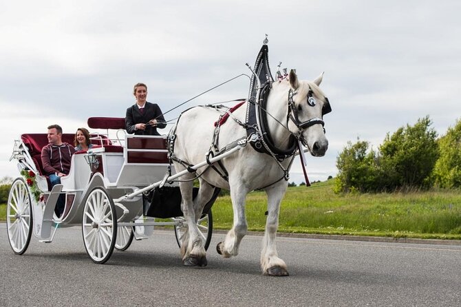 Grand Horse-Drawn Carriage Tour of Victoria - Tour Pricing and Capacity