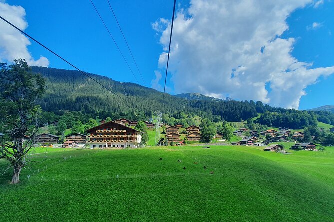 Grindelwald First (Top of Adventure) Ticket Incl. Cliff Walk - Ticket Options