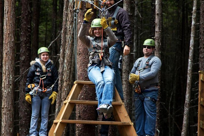Grizzly Falls Ziplining Expedition - Overview and What To Expect
