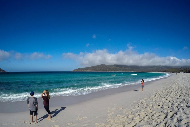Group Day Hike With Oysters and Ice Cream to Wineglass Bay  - Hobart - Meeting and Pickup