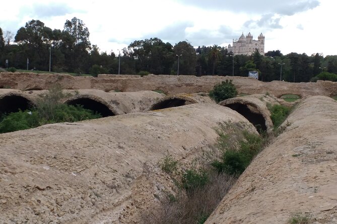Group Guided Bike Tour of Carthage Archeological Site in Tunisia - Tour Highlights